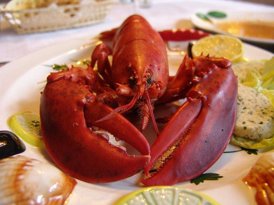 Up until 1900’s, Lobsters were a poor man’s food and became a delicacy with the aristocratic class only after the World War II?