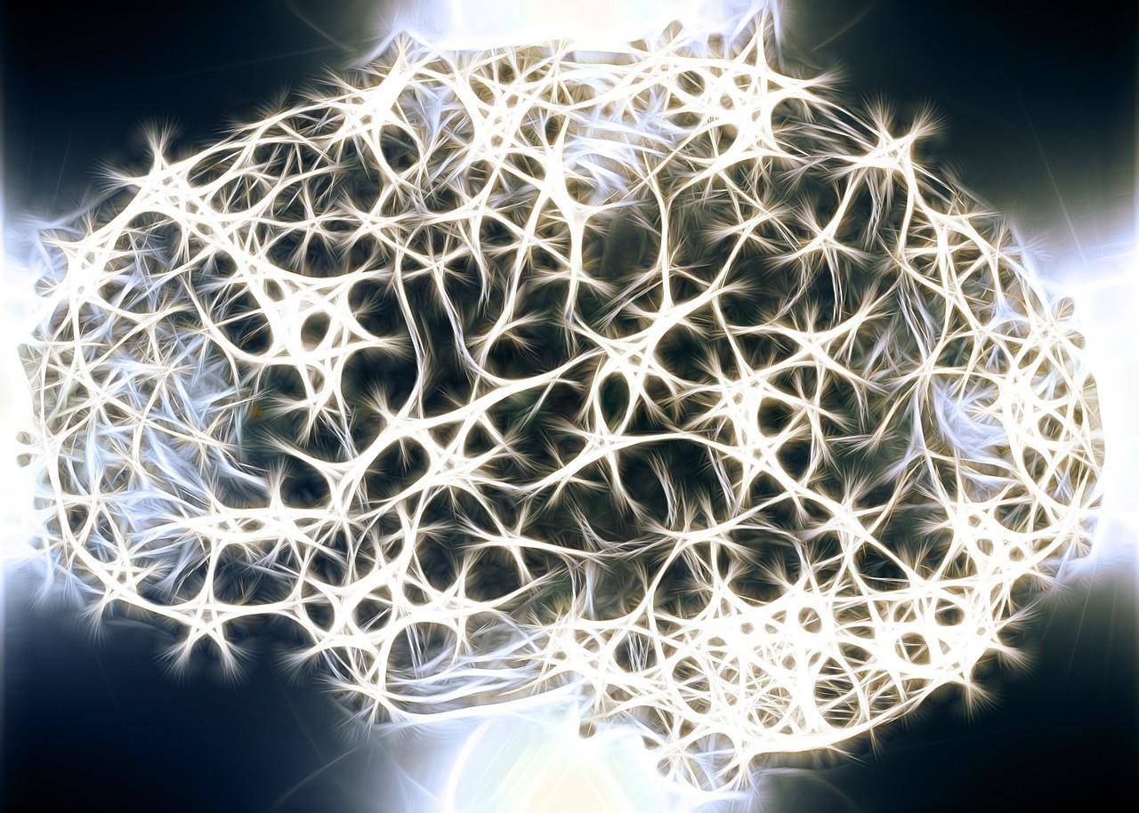 Exploring the Illuminated Mind With Brain Science