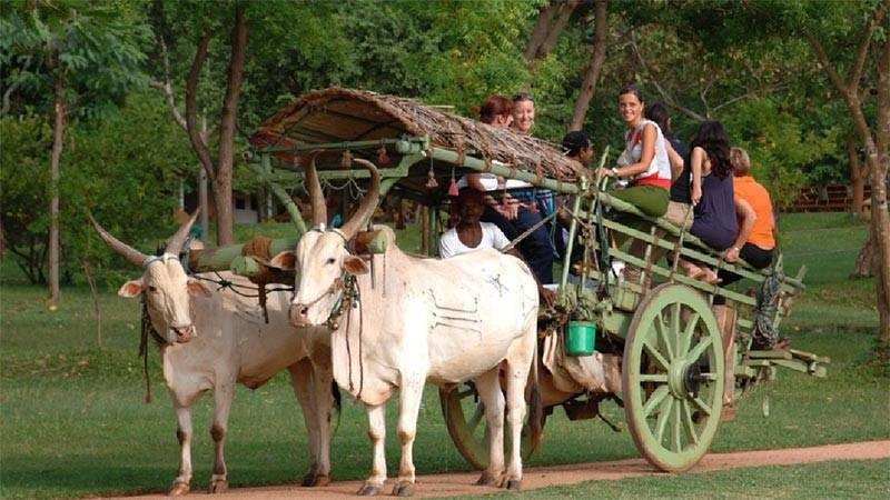 Rural Tourism: A smart way to cure Life Style Diseases