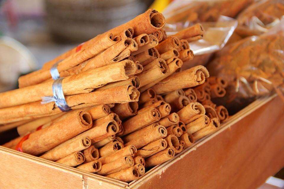 Cinnamon: The Protective Bark