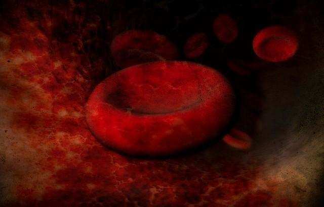 Determination of Haptoglobin in Human Blood – A New Biosensing Platform