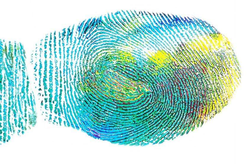 Every human has a unique Fingerprint and ‘Tongue-print’?