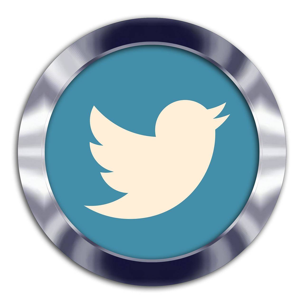The bird in the Twitter Logo has a name?