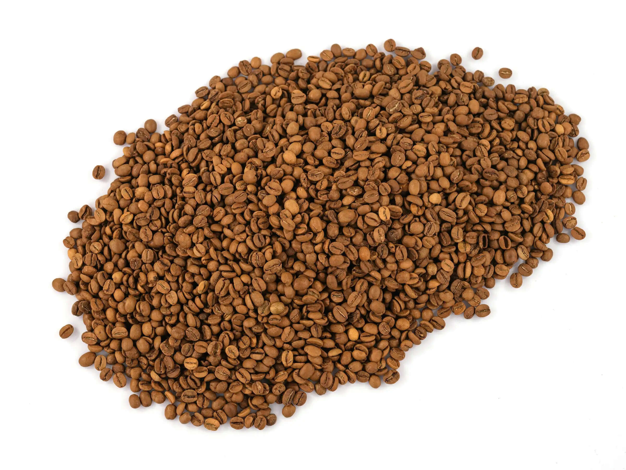 engin-akyurt-SWg6nBxxfqo-unsplash 