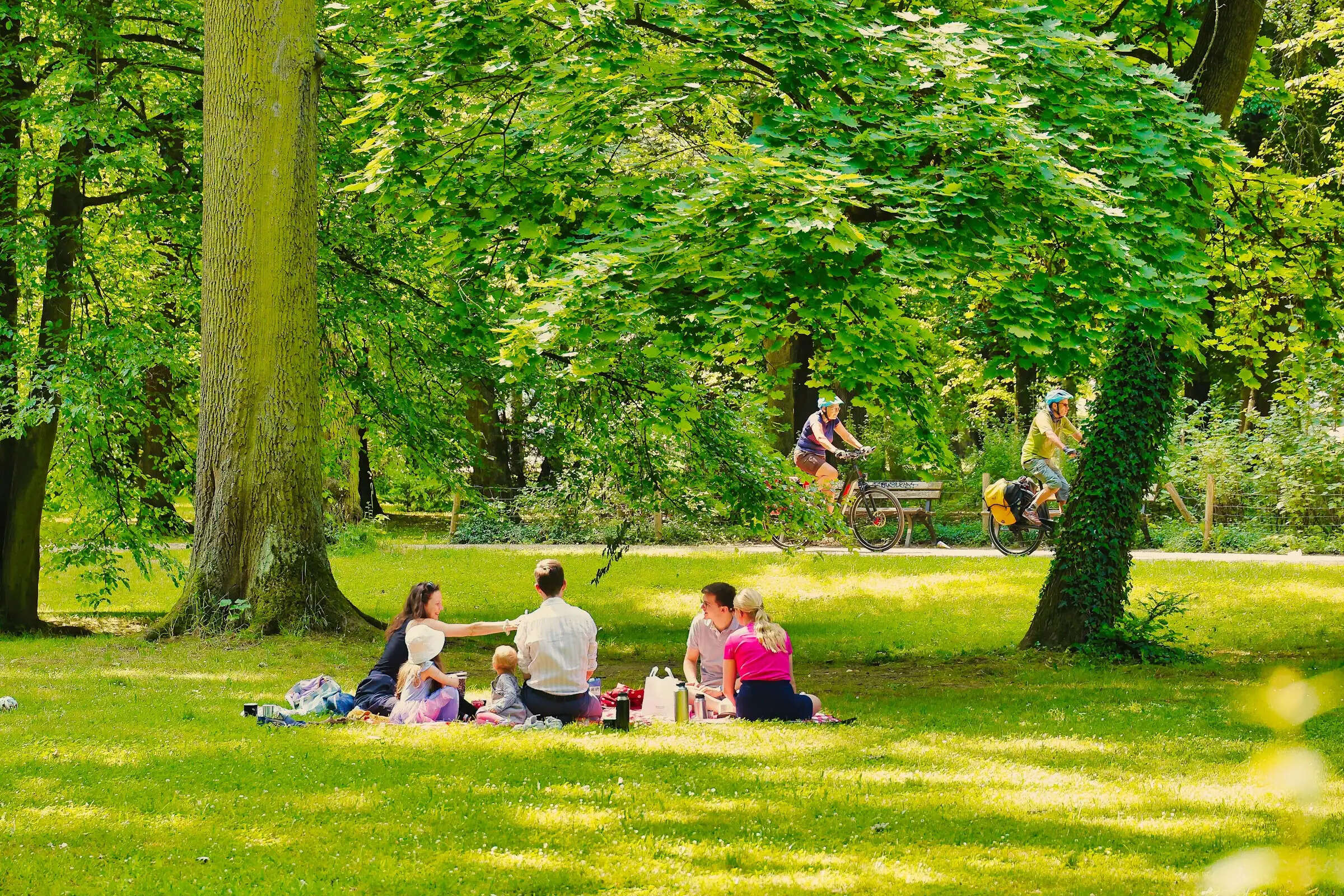 alain-rouiller-Y5L0F8l6O9w-unsplash 