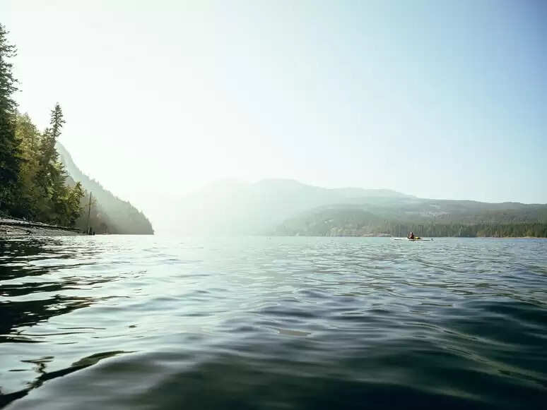 Comox Estuary