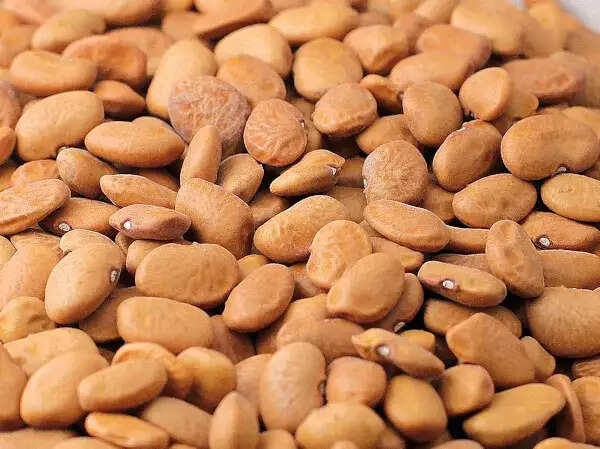 tepary beans