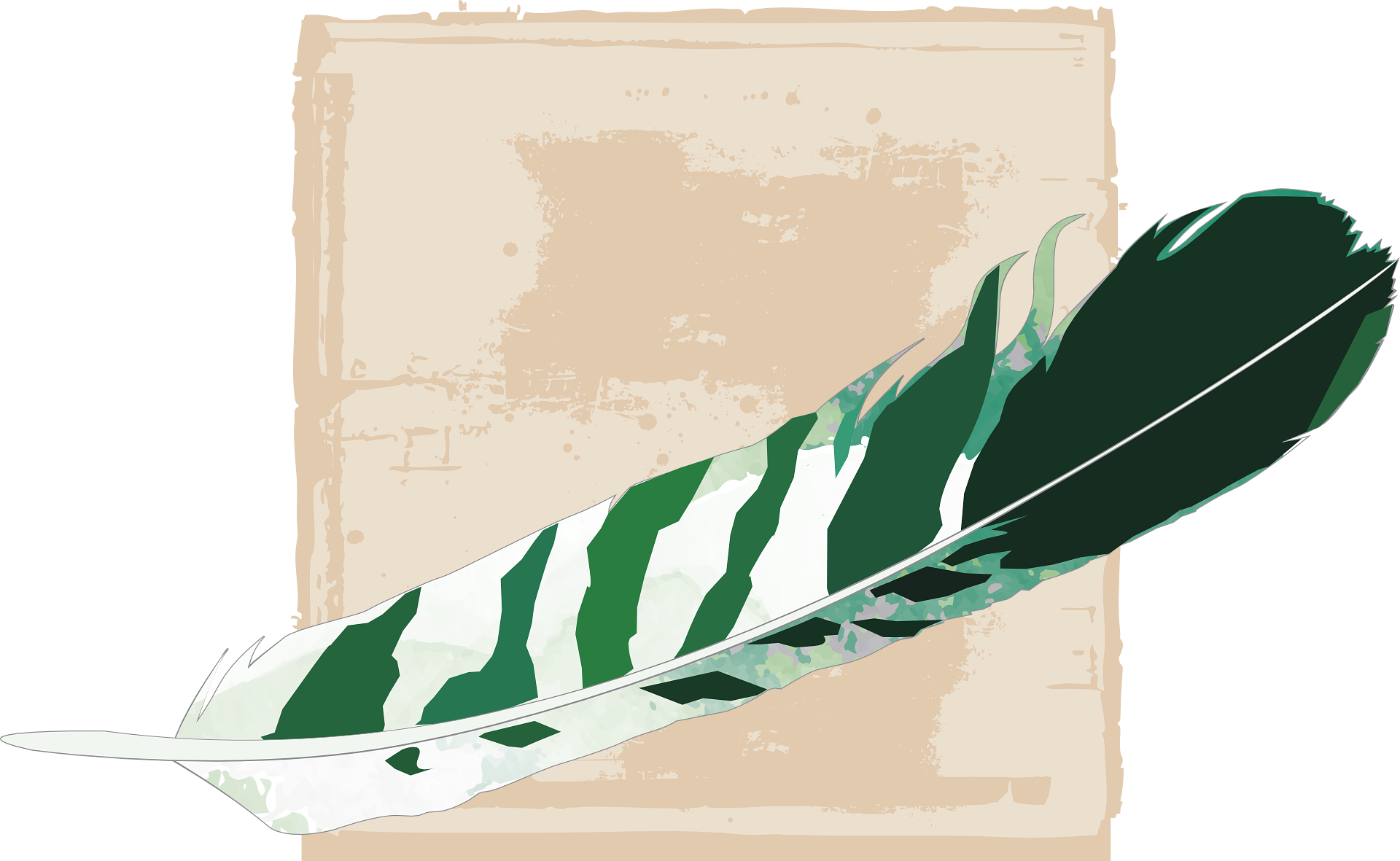 The World's Most Expensive Feather